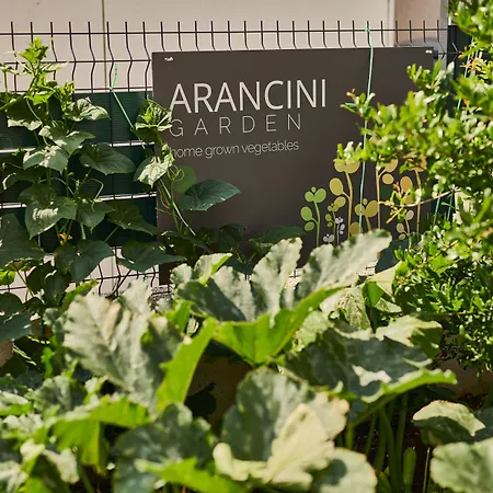Aparthotel Arancini 4*