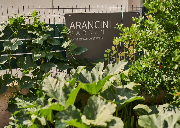 Aparthotel Arancini 4*